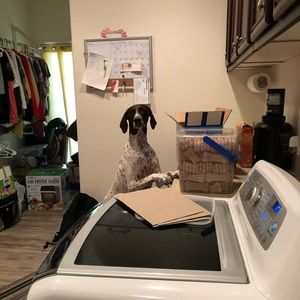 Meet your Posher, Izabel